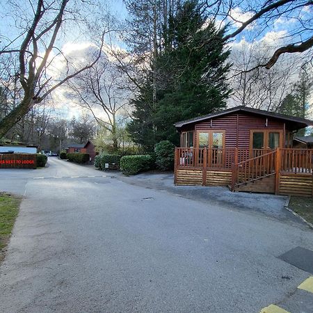 Cheerful 3 Bedroom Lodge At White Cross Bay Windermere Exterior photo